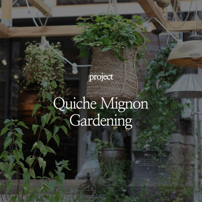 Quiche MIgnon Gardening