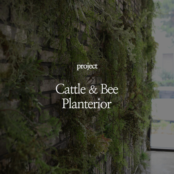 Cattle &amp; Bee Planterior