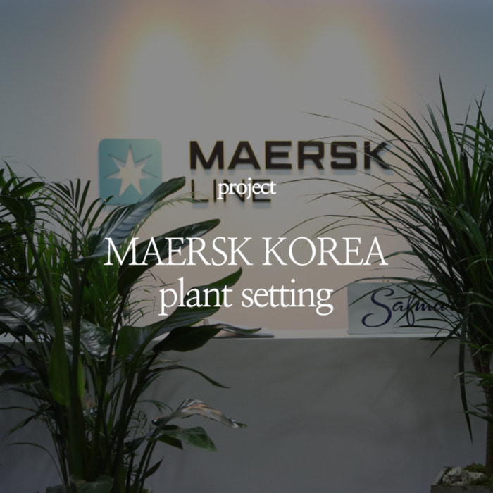 MAERSK KOREA plant setting