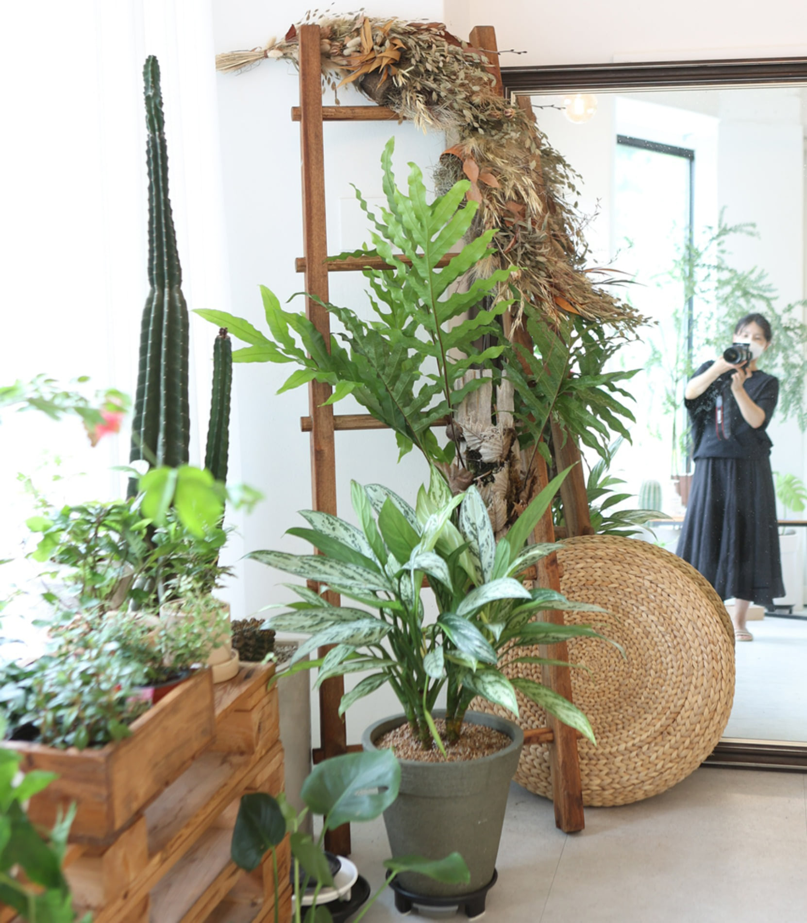Cafe EDIA Flower - Space Renewal &amp; Plant Design